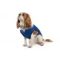 Ancol - Cooling Dog Vest - Blue - Medium