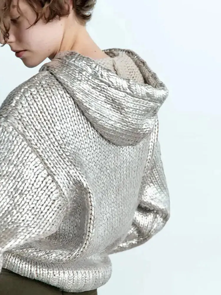 Metallic Knit Hoodie in Silver