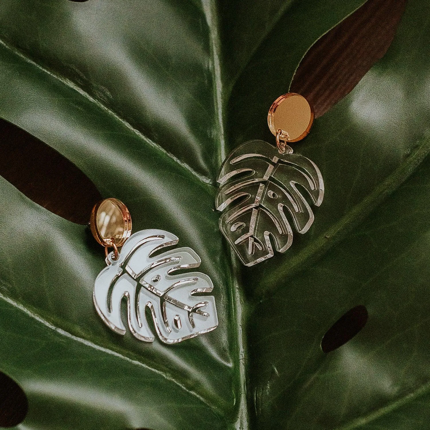 Monstera Leaf Dangle Earrings - Clear and Gold