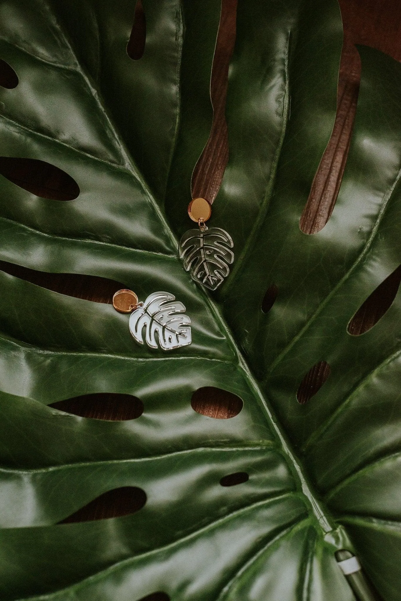 Monstera Leaf Dangle Earrings - Clear and Gold