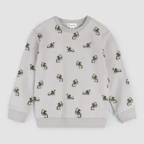 The Dragon Sweatshirt - Cement - KIDS